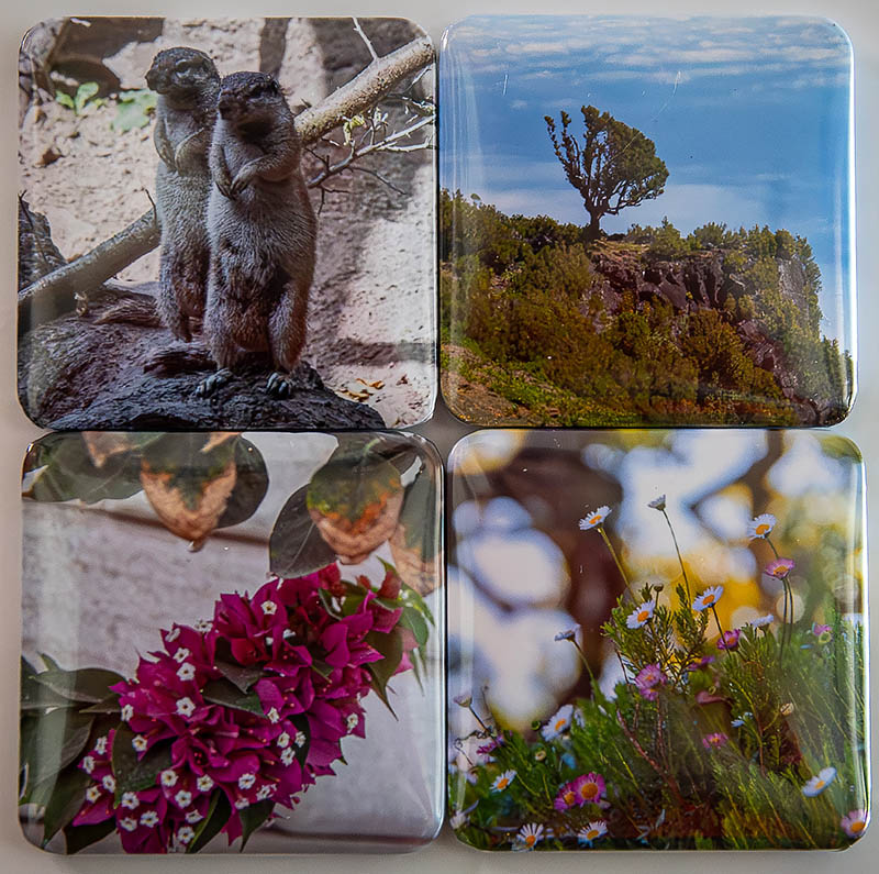 Magnet 5 x 5 cm